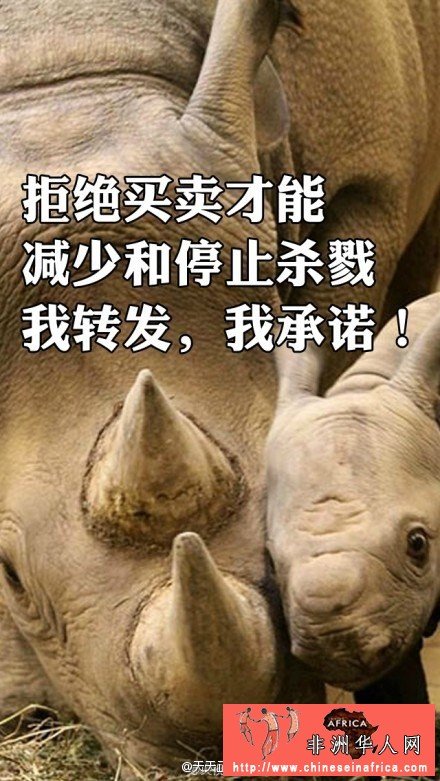 154352m7ctc4w29w77tc7w.jpg