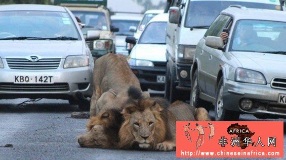 100807imzocd709i5z55c0.jpg