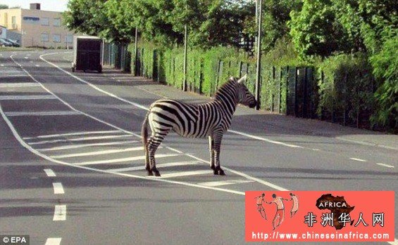 101046jqwwm0wk0knrn7mm.jpg