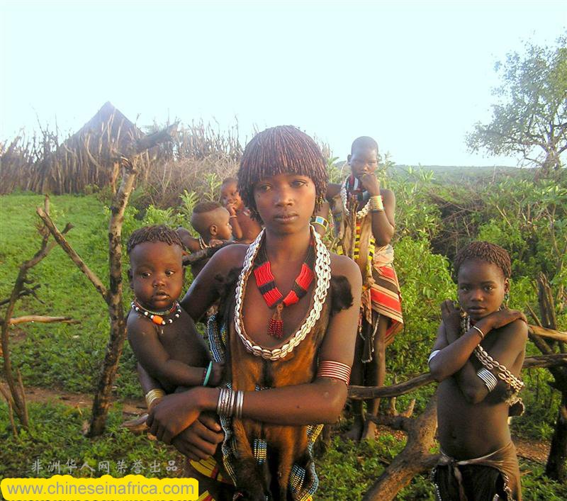 011.jpg
