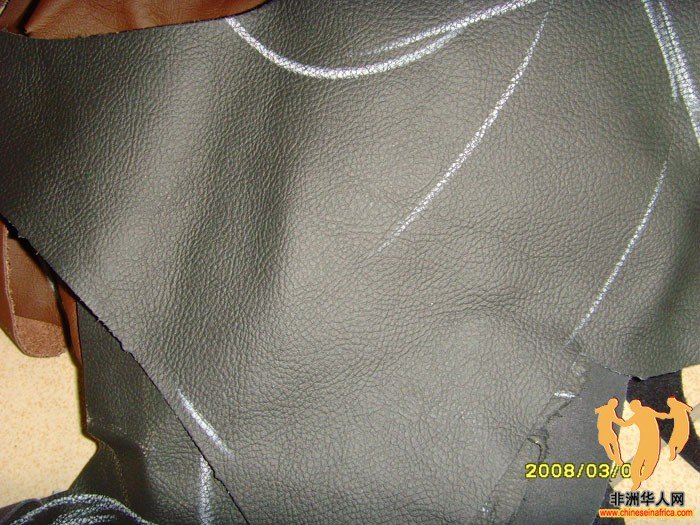 SNV33830.JPG