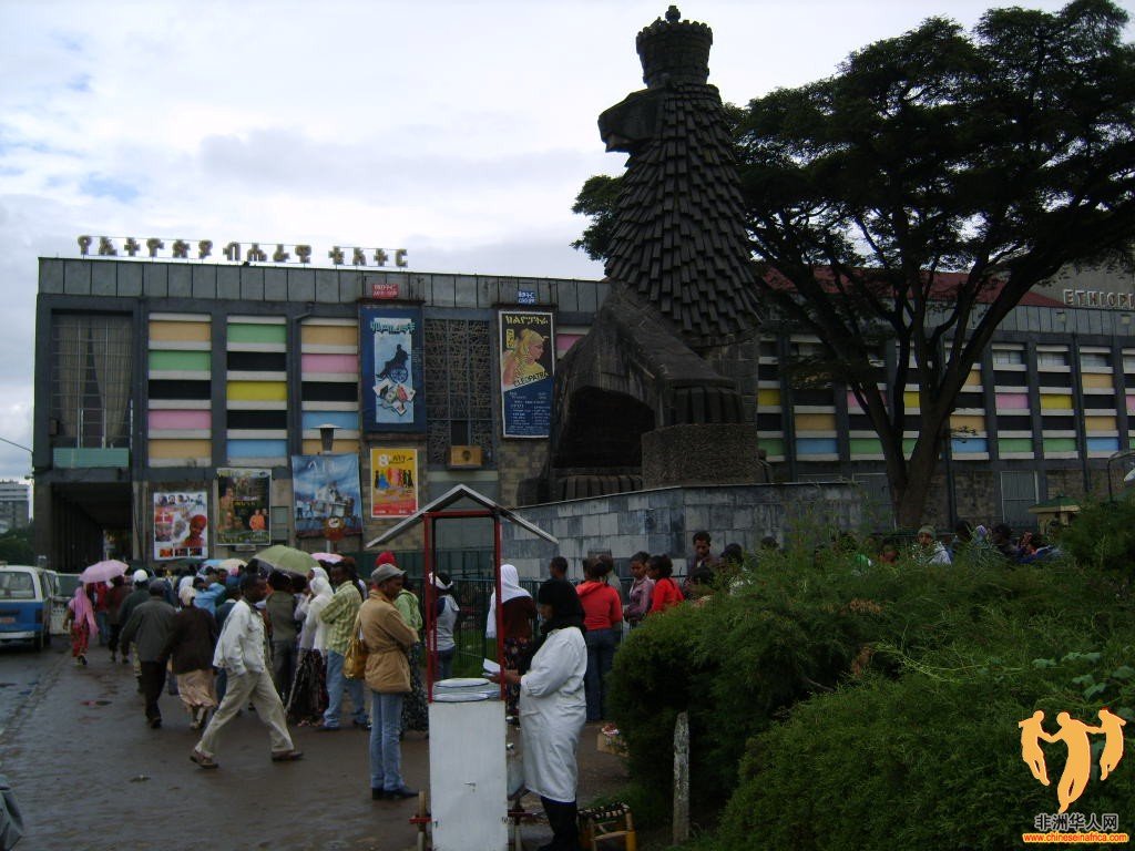 XL802778.JPG