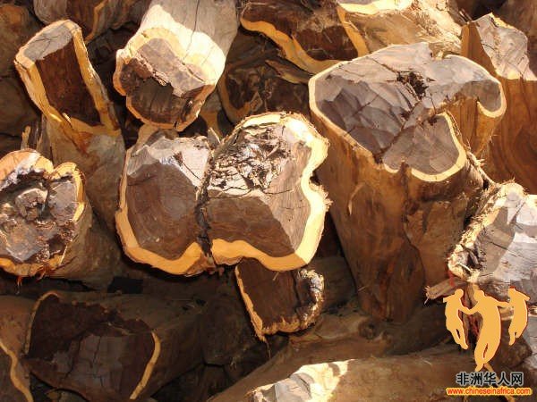 DSC00904.JPG