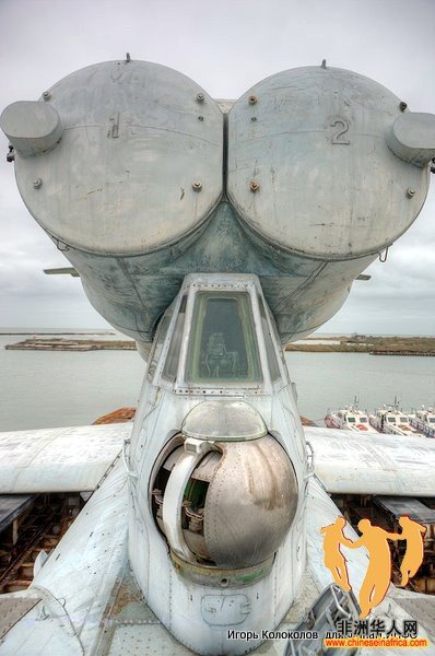 005(68467).jpg