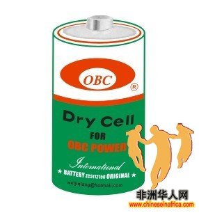 R20(OBC)METAL JACKET BATTERY.jpg
